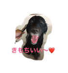 ふう大好き❤（個別スタンプ：7）