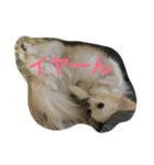 ララ夫の1日（個別スタンプ：2）