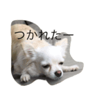 ララ夫の1日（個別スタンプ：4）