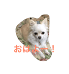 ララ夫の1日（個別スタンプ：7）