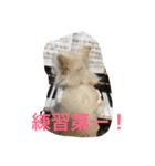 ララ夫の1日（個別スタンプ：8）