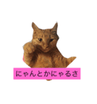 可愛い猫たち3（個別スタンプ：8）