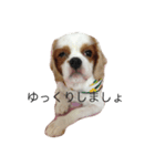 八郎（個別スタンプ：3）