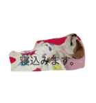 八郎（個別スタンプ：8）