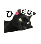 はぎわらんち（個別スタンプ：1）