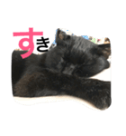 はぎわらんち（個別スタンプ：3）