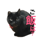 はぎわらんち（個別スタンプ：4）