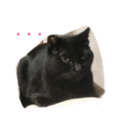 はぎわらんち（個別スタンプ：5）