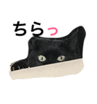 はぎわらんち（個別スタンプ：6）