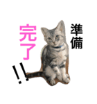 はぎわらんち（個別スタンプ：8）