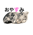 はぎわらんち（個別スタンプ：9）