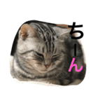 はぎわらんち（個別スタンプ：10）