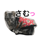 はぎわらんち（個別スタンプ：11）