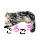 はぎわらんち（個別スタンプ：12）