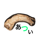 はぎわらんち（個別スタンプ：16）