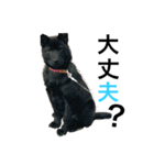 はぎわらんち（個別スタンプ：24）