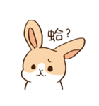 Bunny Dudu -Life.ver（個別スタンプ：1）