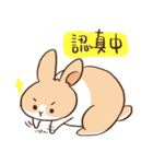 Bunny Dudu -Life.ver（個別スタンプ：5）