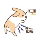 Bunny Dudu -Life.ver（個別スタンプ：6）
