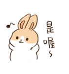 Bunny Dudu -Life.ver（個別スタンプ：13）