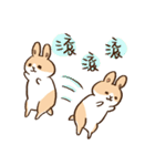 Bunny Dudu -Life.ver（個別スタンプ：19）