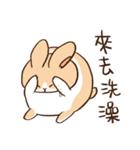 Bunny Dudu -Life.ver（個別スタンプ：22）