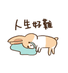 Bunny Dudu -Life.ver（個別スタンプ：40）