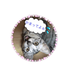 ナッちゃん（個別スタンプ：14）