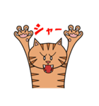 茶トラネコのチャイ（個別スタンプ：1）