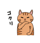 茶トラネコのチャイ（個別スタンプ：4）