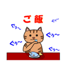 茶トラネコのチャイ（個別スタンプ：5）