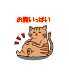 茶トラネコのチャイ（個別スタンプ：7）