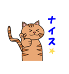 茶トラネコのチャイ（個別スタンプ：14）