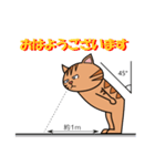 茶トラネコのチャイ（個別スタンプ：15）
