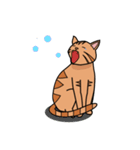 茶トラネコのチャイ（個別スタンプ：32）