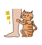 茶トラネコのチャイ（個別スタンプ：35）