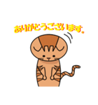 茶トラネコのチャイ（個別スタンプ：36）
