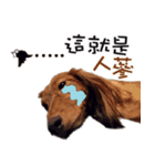 EMMA＆XR（個別スタンプ：9）