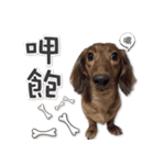 EMMA＆XR（個別スタンプ：11）