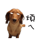 EMMA＆XR（個別スタンプ：13）