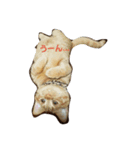 mikan  life（個別スタンプ：6）