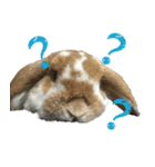 うさぎのふわ（個別スタンプ：8）