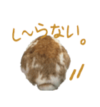 うさぎのふわ（個別スタンプ：17）