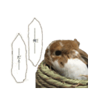 うさぎのふわ（個別スタンプ：21）