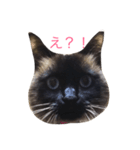 シャーの日常（個別スタンプ：7）