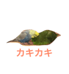 うちの鳥たち！（個別スタンプ：2）