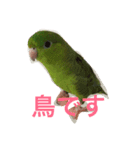 うちの鳥たち！（個別スタンプ：13）
