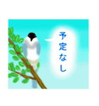 野鳥のスタンプ ”オナガ”（個別スタンプ：4）