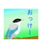 野鳥のスタンプ ”オナガ”（個別スタンプ：6）