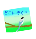 野鳥のスタンプ ”オナガ”（個別スタンプ：8）